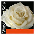 Pirastro ​​​​​​​310321 Wondertone Solo струна E для скрипки