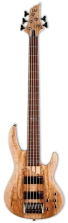 ESP LTD B-205SM NS бас-гитара, цвет Natural Satin