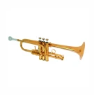 B&S BS31162_DS-2-0D Eb/D труба 3-х помповая