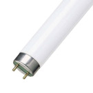 OSRAM T8 L36W/640 LUMILUX лампа люминесцентная белая