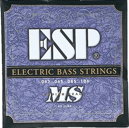 bs-20ms