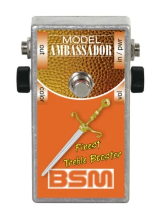 bsm ambassador