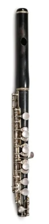 haynes piccolo-w-1