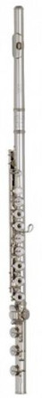 haynes classic-s-eb-1