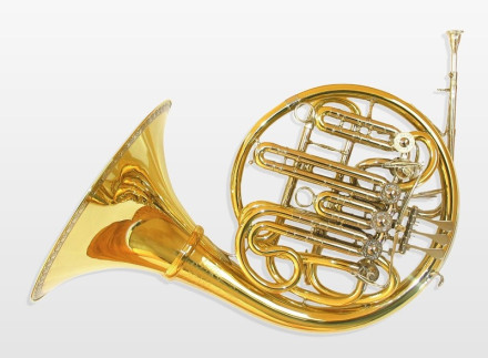 double horn