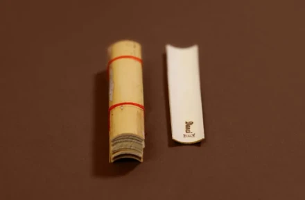 danzi bgcm medium