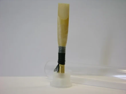 loree eh reed m europe