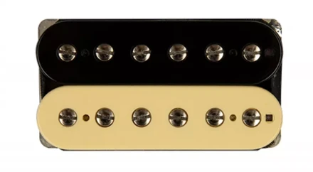 dsh bridge reverse zebra 53