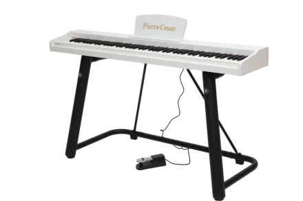 dp-121-t-wh