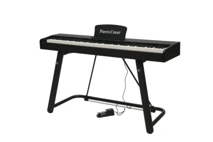 dp-121-h-bk