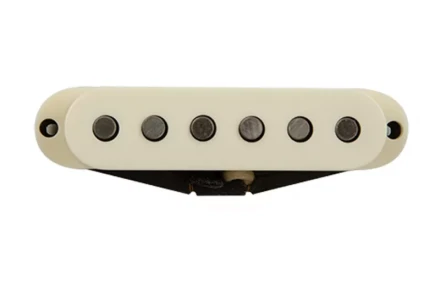 v63 plus neck parchment