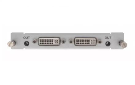 dmax-out dvi2