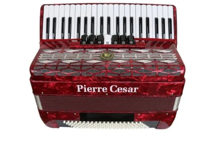 pierre cesar pca2008 rdp
