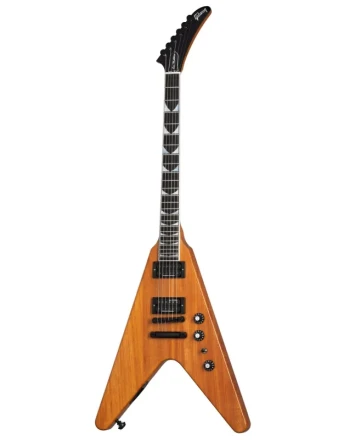 dsvx00anbc1-gibson