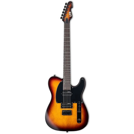 esp ltd te-200r tsb