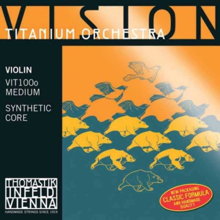 vit100о vision