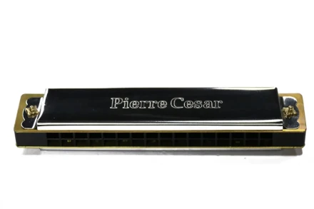 PCH016