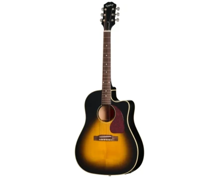 EIAJ4CVSNH1 EPIPHONE