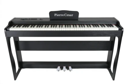 dp-22-h-bk-pc