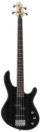cort action pj opb