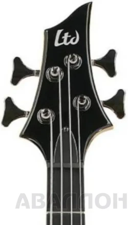 Превью 5
