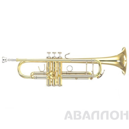 Превью 3