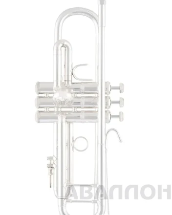 Превью 4