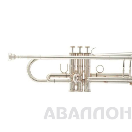 Превью 2