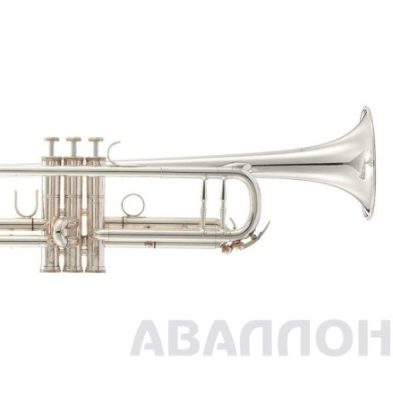 Превью 3
