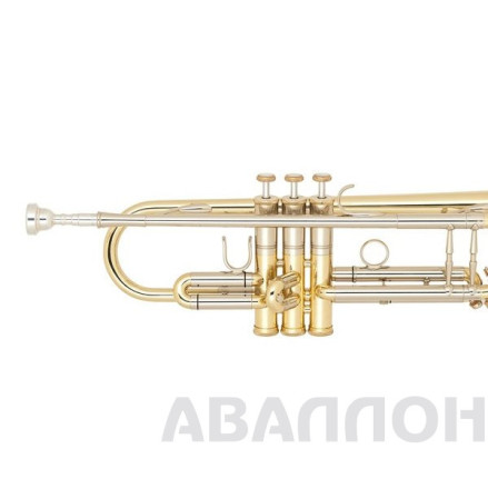 Превью 2