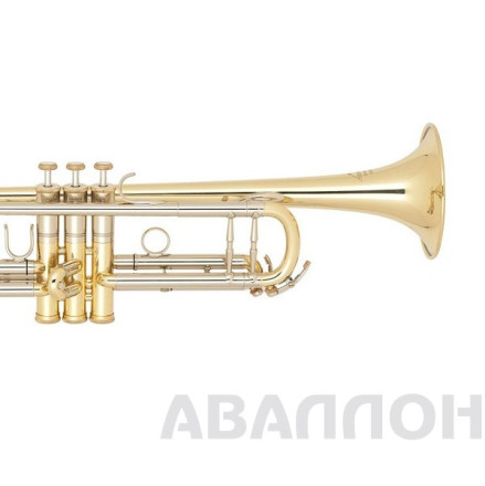 Превью 3