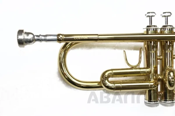 Превью 4