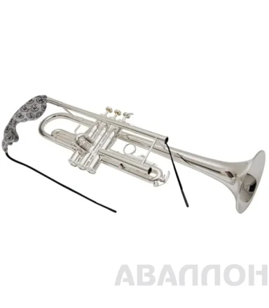 Превью 6
