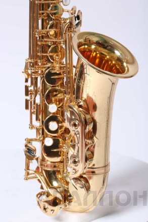 Превью 4