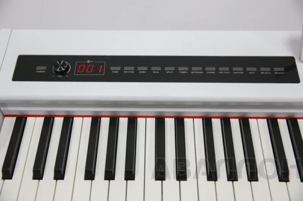 Превью 5