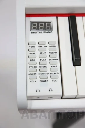 Превью 6