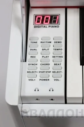 Превью 11