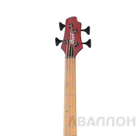 Превью 6