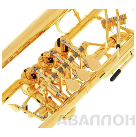 Превью 4