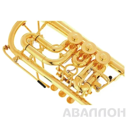 Превью 6
