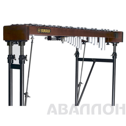 Превью 4
