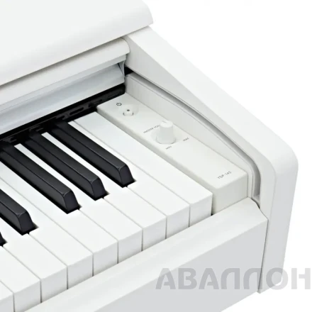 Превью 3