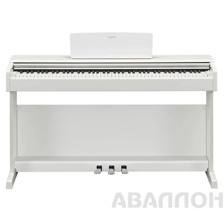 Превью 4