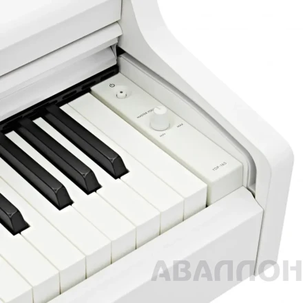 Превью 3
