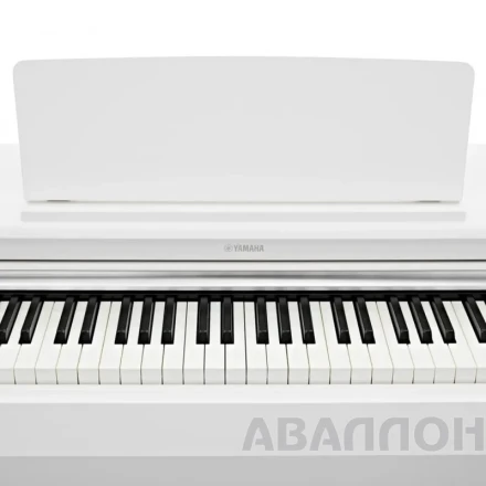 Превью 4