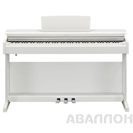 Превью 5