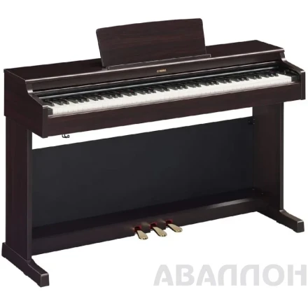 Превью 3
