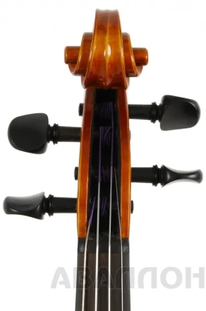 Превью 6