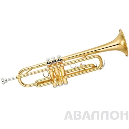 Превью 2
