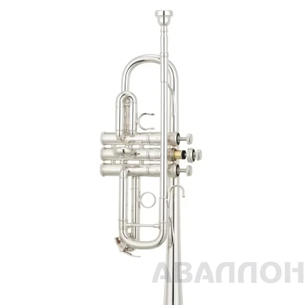 Превью 4